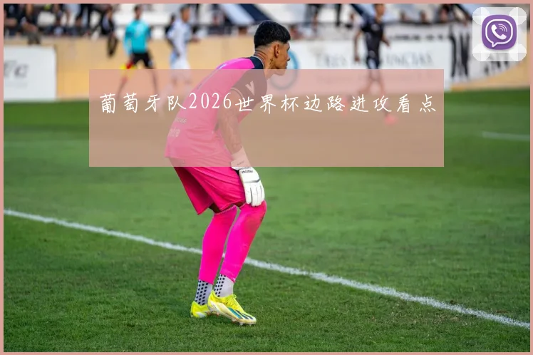 葡萄牙队2026世界杯边路进攻看点