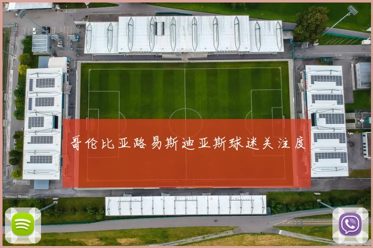 哥伦比亚路易斯迪亚斯球迷关注度