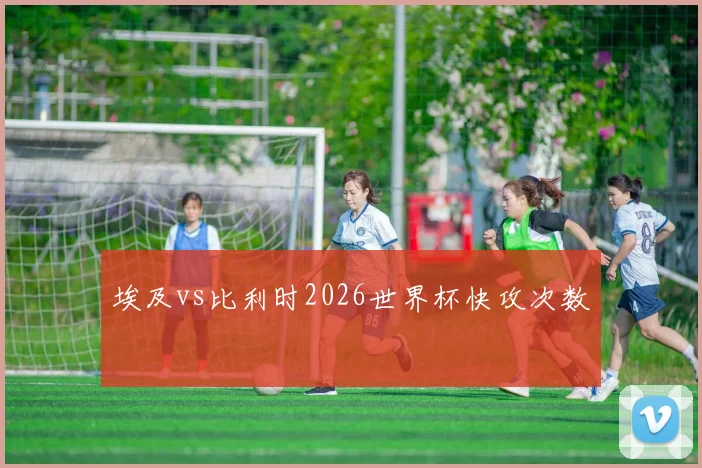 埃及vs比利时2026世界杯快攻次数