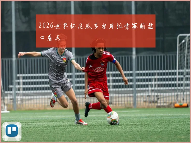 2026世界杯厄瓜多尔库拉索赛前盘口看点