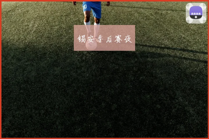 锡安季后赛夜