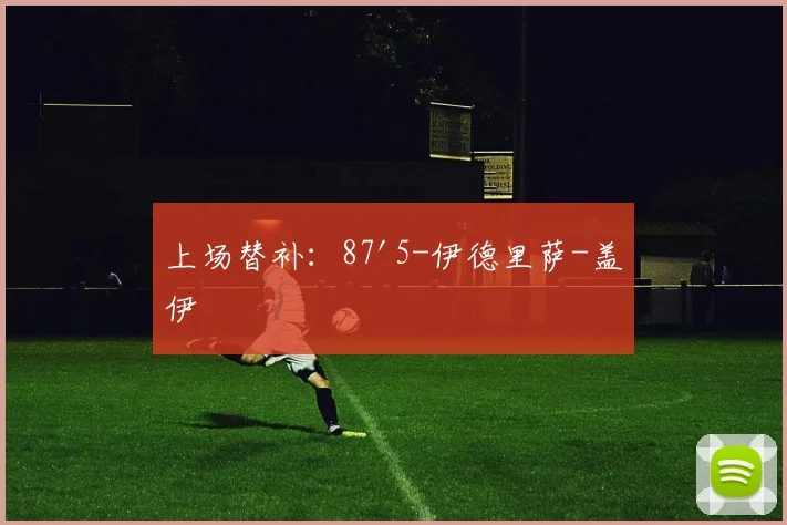 上场替补：87'5-伊德里萨-盖伊
