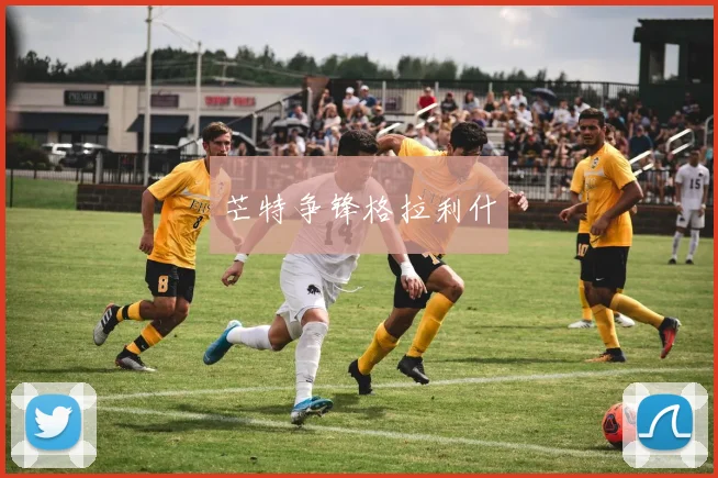 芒特争锋格拉利什