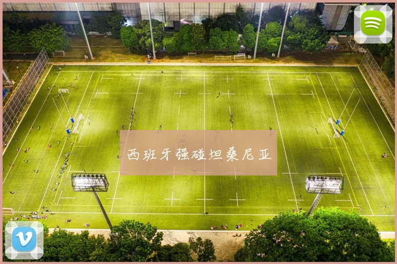 西班牙强碰坦桑尼亚
