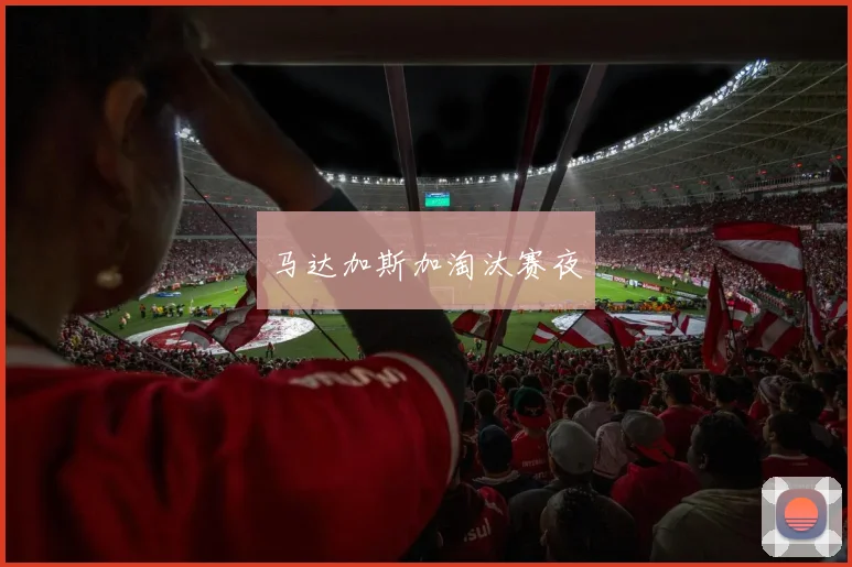 马达加斯加淘汰赛夜