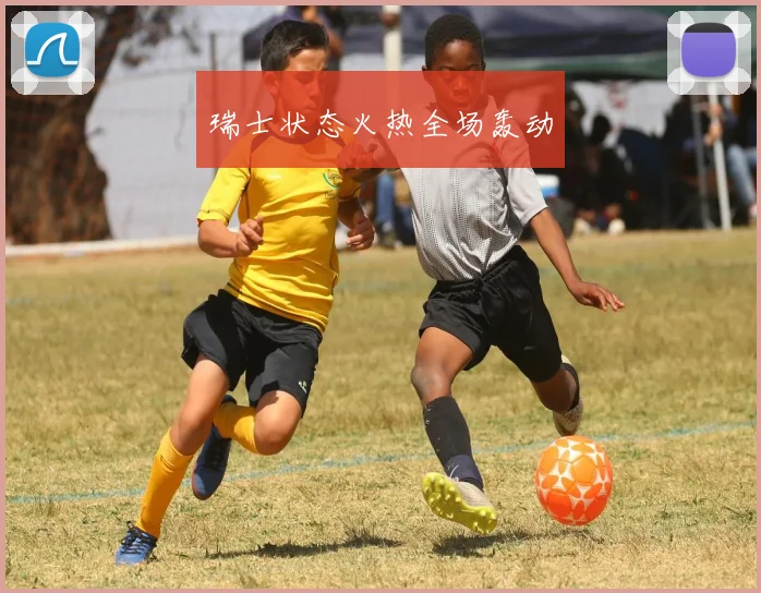瑞士状态火热全场轰动