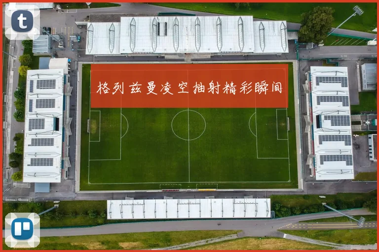 格列兹曼凌空抽射精彩瞬间