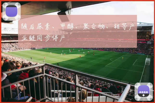 随后尿素、甲醇、聚合物、铝等产业链同步停产
