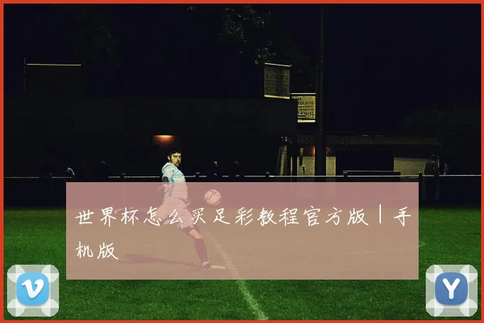 世界杯怎么买足彩教程官方版｜手机版