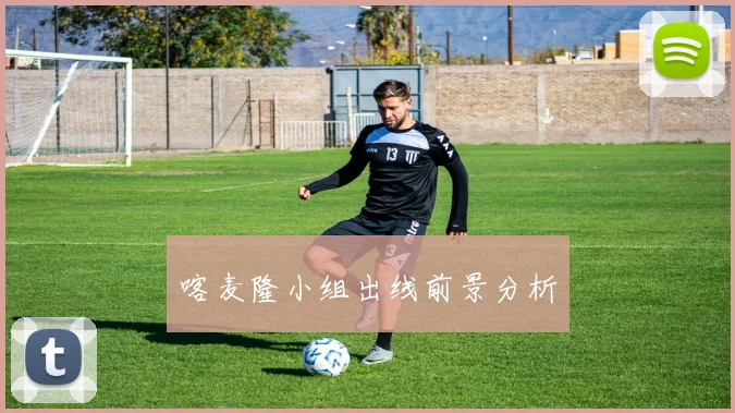 喀麦隆小组出线前景分析
