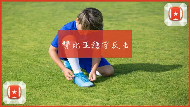 赞比亚稳守反击
