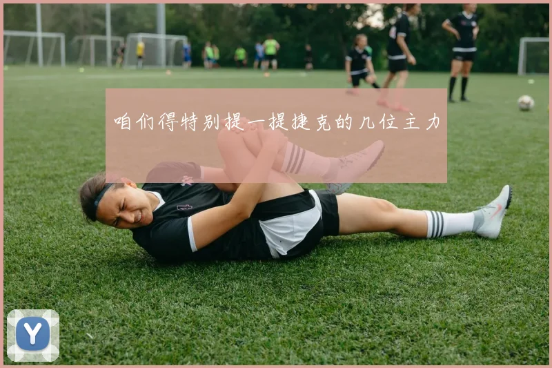 咱们得特别提一提捷克的几位主力