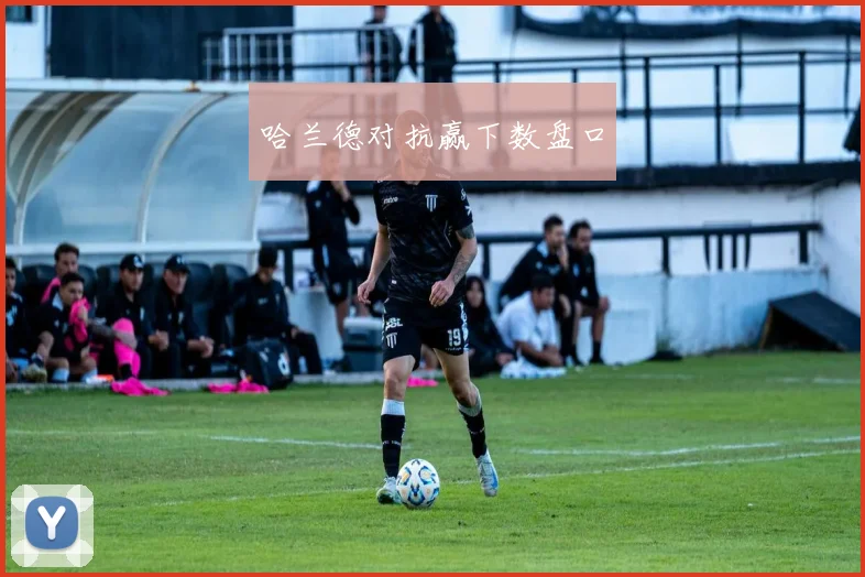 哈兰德对抗赢下数盘口