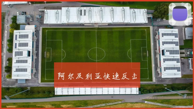 阿尔及利亚快速反击