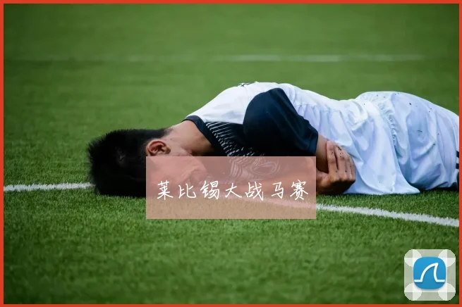 莱比锡大战马赛