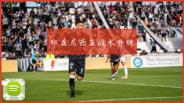 印度尼西亚战术升级