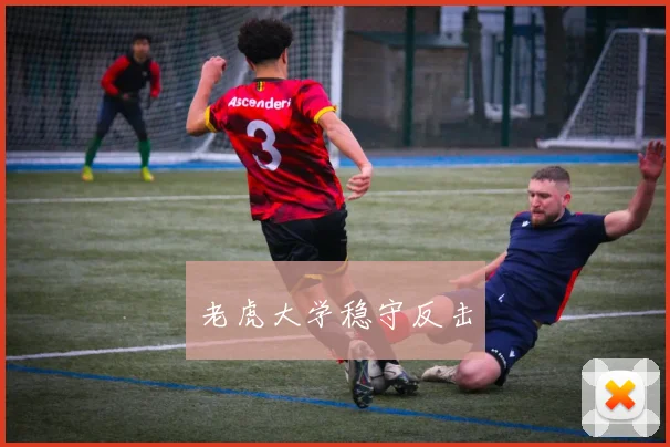 老虎大学稳守反击