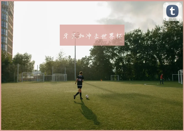 牙买加冲击世界杯