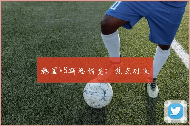 韩国VS斯洛伐克：焦点对决