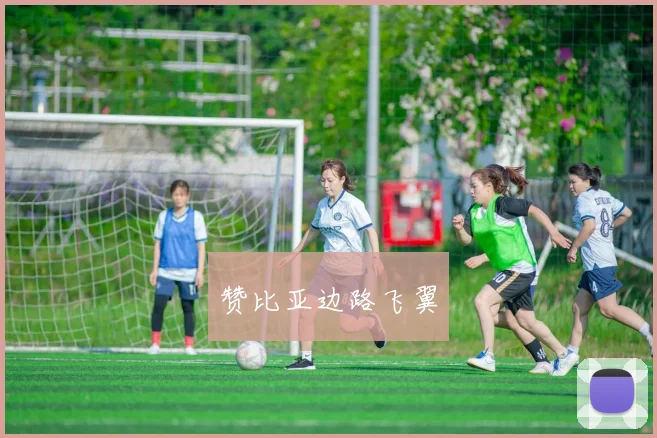 赞比亚边路飞翼