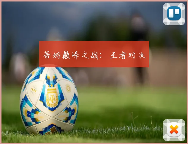 蒂姆巅峰之战：王者对决
