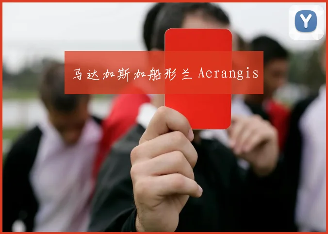 马达加斯加船形兰 Aerangis
