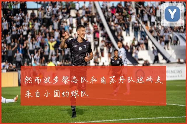 然而波多黎各队和南苏丹队这两支来自小国的球队