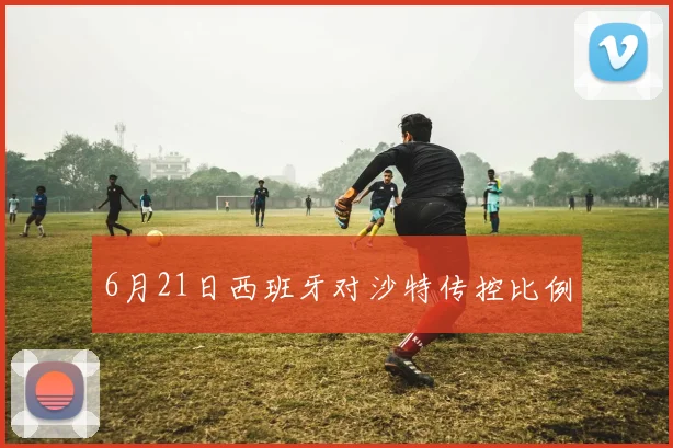 6月21日西班牙对沙特传控比例
