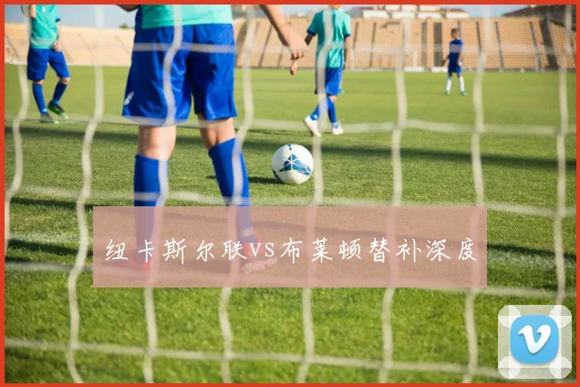 纽卡斯尔联vs布莱顿替补深度